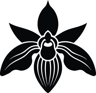 bee orchid flower silhouette vector on white 