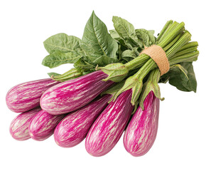 Harvesting fresh striped eggplants farmer's market food isolated on transparent background