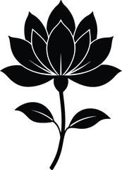 bloodroot blossom silhouette vector on white 