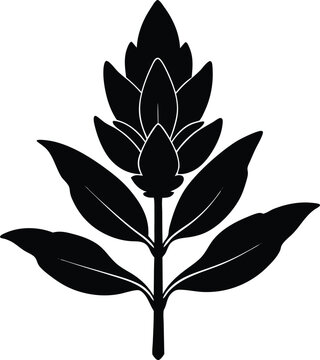 black plant silhouette on white background clip art preview