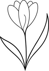 spring crocus flower depicted in continuous line art drawing showing seasonal blossom graceful plant outline and minimal nature inspired floral design for prints