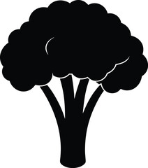 broccoli stalk silhouette vector on white 