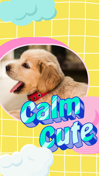 Vertical Calm Cute Replacement Title