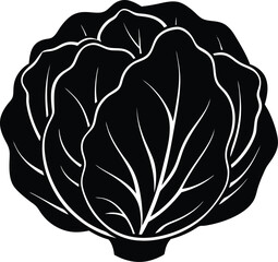 cabbage head silhouette vector illustration 