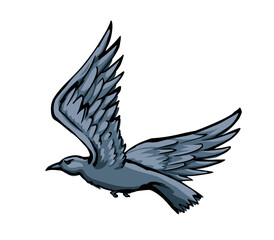 Obraz premium Vector drawing. Big flying bird