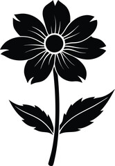 canadian anemone flower silhouette vector on white