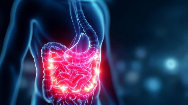 Illustration of gastritis inflammation in the stomach leading to pain and nausea symptoms

