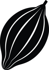 cardamom pod silhouette vector on white background 