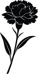 carnation stem silhouette vector on white 