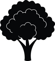 cauliflower floret silhouette vector on white 