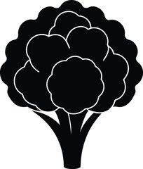 cauliflower floret silhouette vector on white 