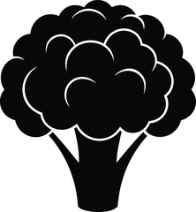 cauliflower head silhouette vector on white 