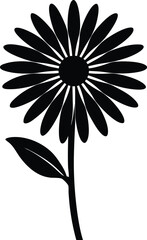 chamomile flower silhouette vector on white 