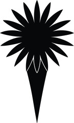 coneflower silhouette vector on white background 