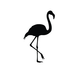 Vector Image Of Silhouette Flamingoes