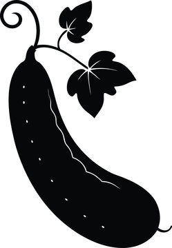 recommend clip art: cucumber vine silhouette vector on white 
