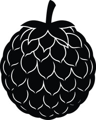 custard apple silhouette vector on white backgroun.eps