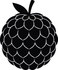 custard apple silhouette vector on white 