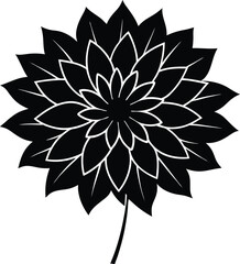 dahlia flower silhouette vector on white 