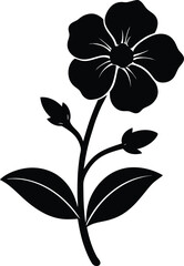 diascia flower silhouette vector on white 