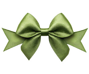 Decorative green bow for gifts product view isolated on transparent background