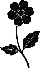 early buttercup flower silhouette vector on white