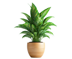 Lush green potted plant arrangement for home space vibrant aesthetics isolated on transparent background