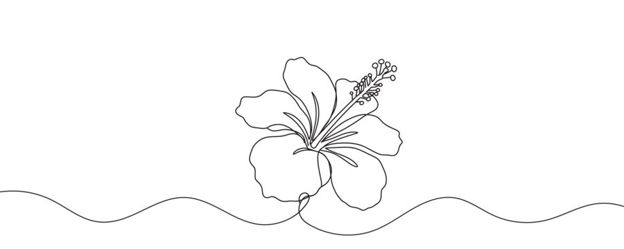 Fototapeta Hibiscus flower in one continuous line drawing. Floral abstract hawaiian symbol, summer and vacation. Vector illustration