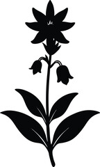 great lobelia flower silhouette vector on white