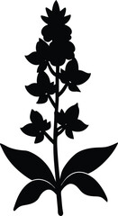 hairy beardtongue flower silhouette vector 