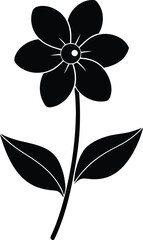 hepatica flower silhouette vector on white 