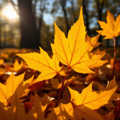 Fototapeta premium Embracing the Fall Season