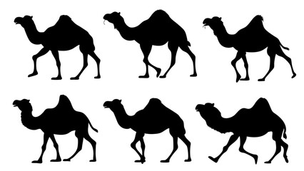 set of camel silhouette vector on tranparent background