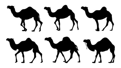 set of camel silhouette vector on tranparent background