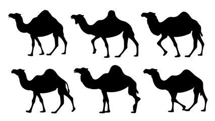 set of camel silhouette vector on tranparent background