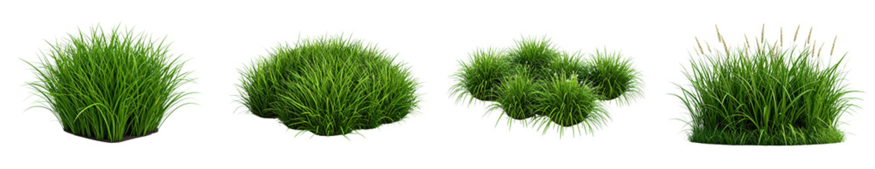 Lush green grass tufts in different shapes and sizes.