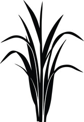lemongrass stalk silhouette vector illustration 