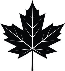 maple leaf silhouette vector on white background  .eps