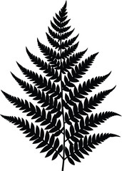marsh fern silhouette vector on white background   