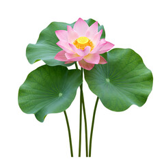 Pink  Lotus Flower with Dew Drops Pure White Background,  PNG Perfect for Wellness, Spa, & Nature Designs