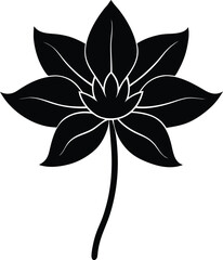 mayapple flower silhouette vector on white 