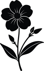 narrowleaf evening primrose silhouette vector 