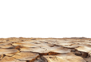 Drought impact on dry landscape arid region natural environment wide angle isolated on transparent background