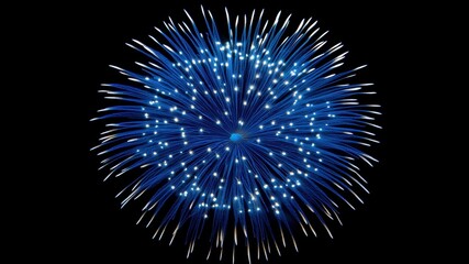 Festive fireworks explosion against a black sky