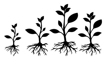 set of plant roots silhouette vector on tranparent background