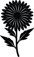 new england aster flower silhouette vector 
