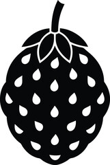 noni fruit silhouette vector icon on white 