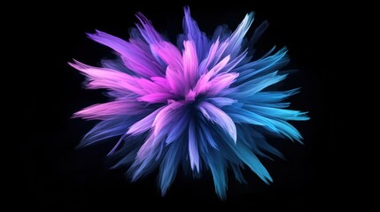 Obraz premium Abstract pink and blue flower on black background