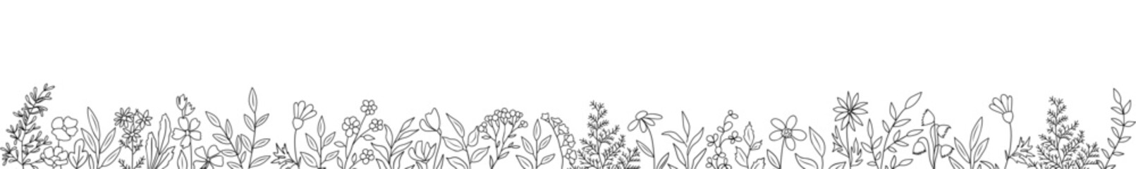 Wild blooming meadow flowers and herbs border. Horizontal banner, floral overlay backdrop. Botanical monochrome ink sketch style hand drawn vector illustration isolated on transparent background.