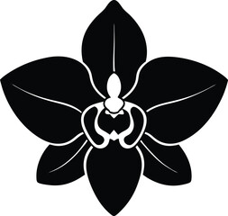 orchid flower silhouette vector on white 